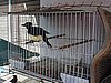 DSC01542.JPG