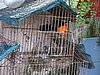 DSC01545.JPG