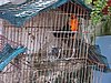 DSC01546.JPG