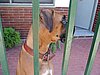 DSC01549.JPG