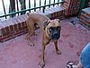 DSC01550.JPG