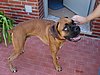 DSC01552.JPG