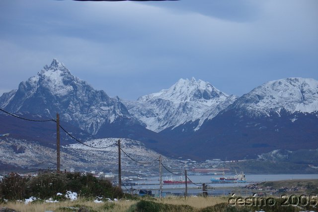 DSC02585.JPG