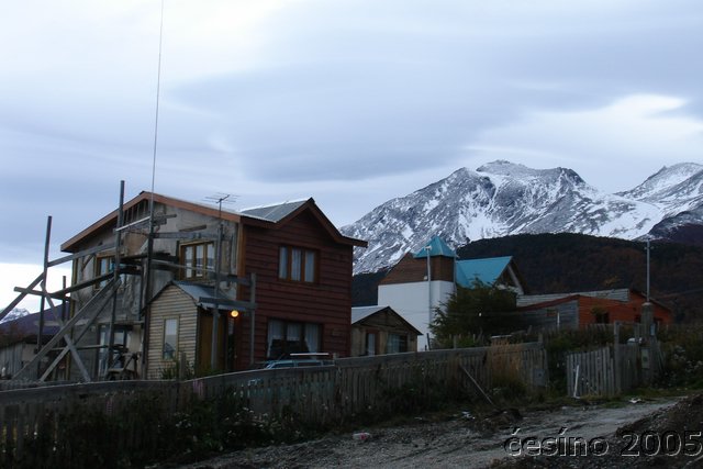 DSC02590.JPG
