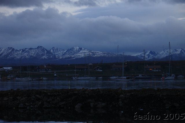 DSC02595.JPG