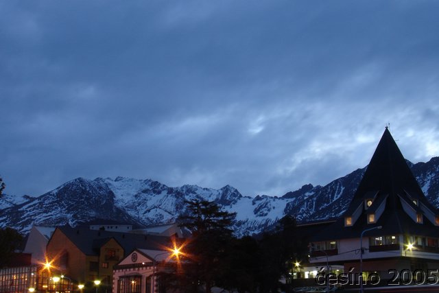 DSC02603.JPG
