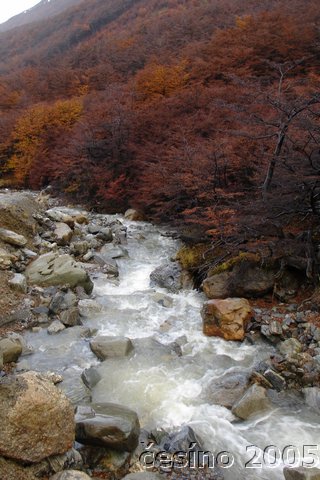DSC02661.JPG
