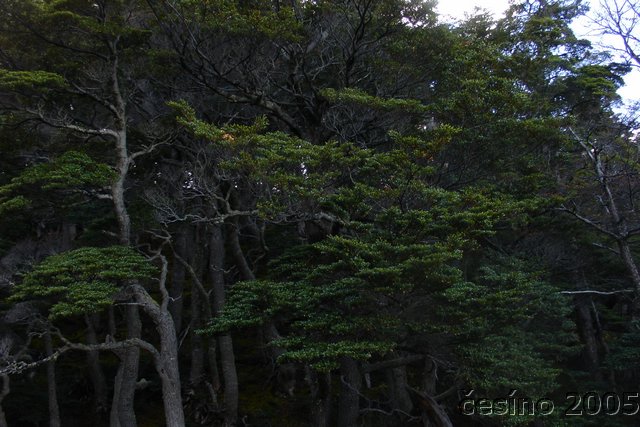 DSC02678.JPG