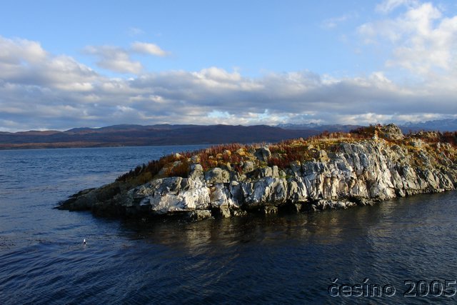 DSC02765.JPG