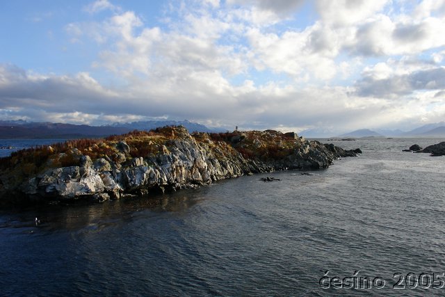 DSC02766.JPG