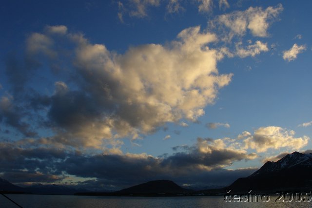 DSC02818.JPG
