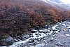 DSC02667.JPG