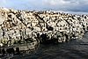 DSC02717.JPG