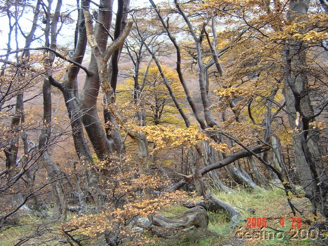 DSC02616.JPG