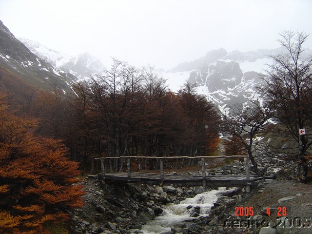 DSC02626.JPG