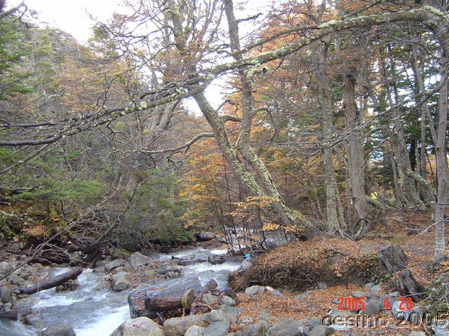 DSC02643.JPG