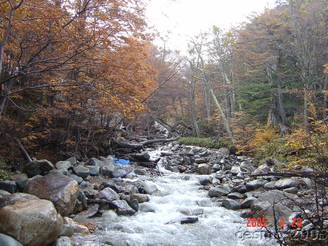 DSC02645.JPG
