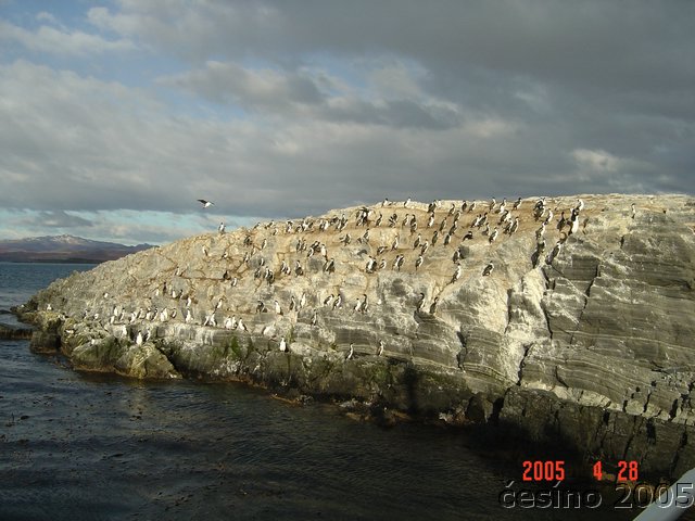 DSC02659.JPG