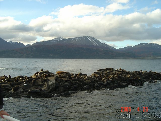 DSC02668.JPG