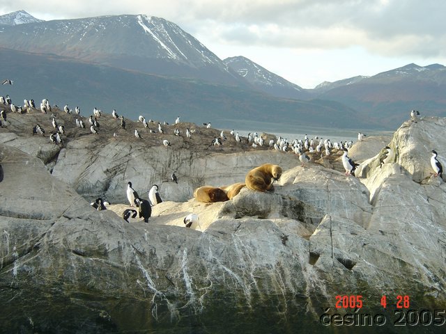 DSC02677.JPG