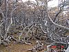 DSC02569.JPG