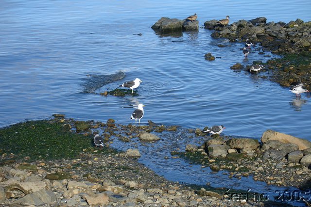DSC02857.JPG