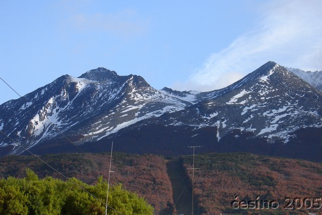 DSC02880.JPG
