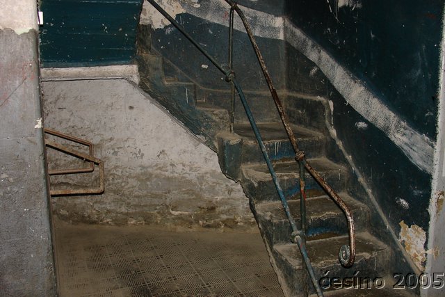 DSC03003.JPG