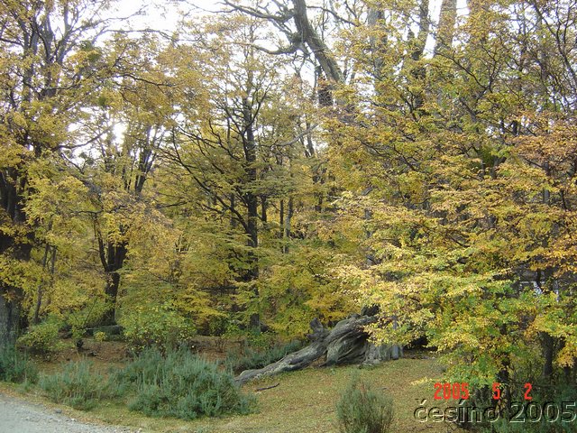 DSC02817.JPG