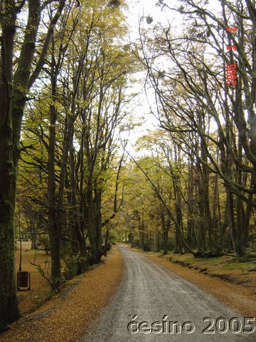 DSC02828.JPG