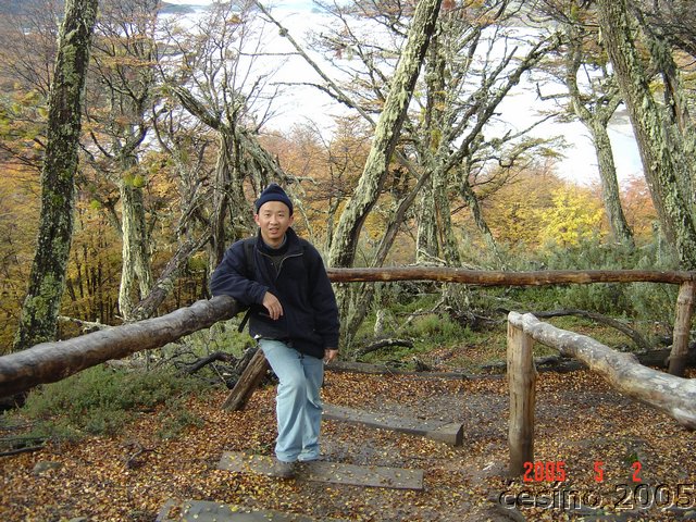 DSC02851.JPG