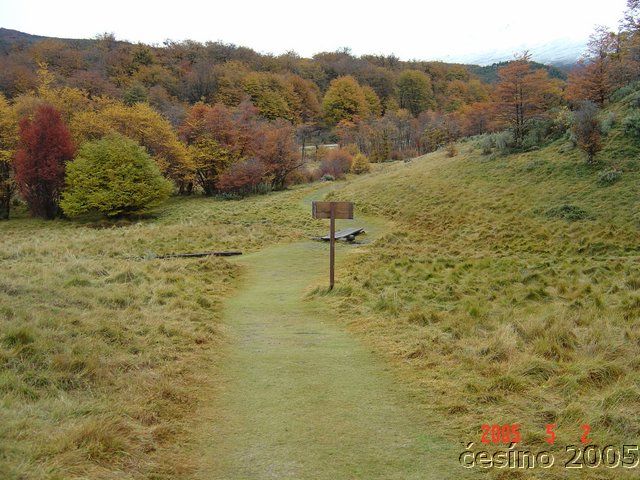 DSC02860.JPG