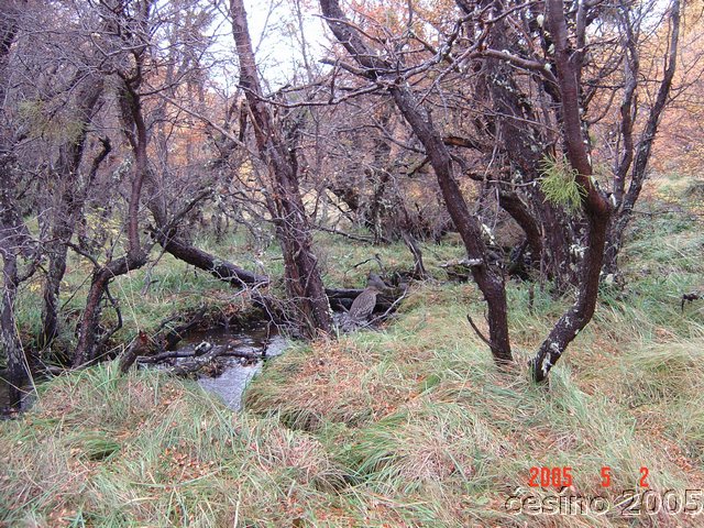 DSC02861.JPG