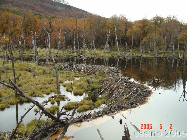 DSC02868.JPG