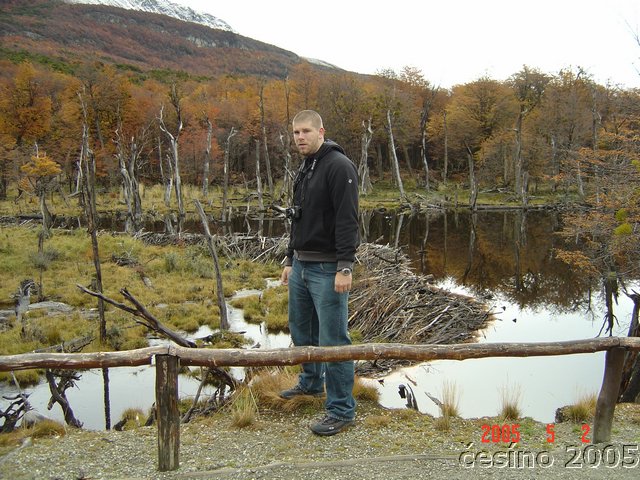 DSC02869.JPG