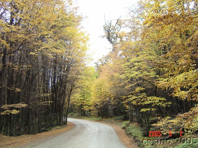 DSC02875.JPG