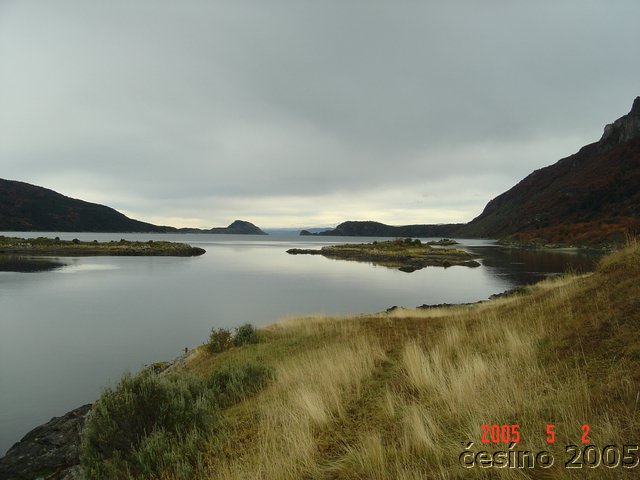 DSC02878.JPG