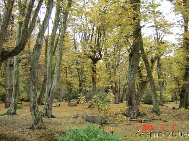 DSC02885.JPG