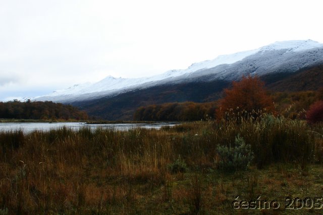DSC03026.JPG