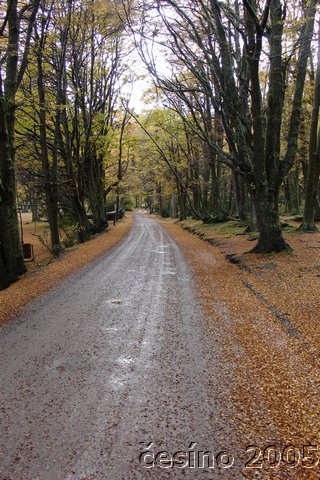 DSC03037.JPG