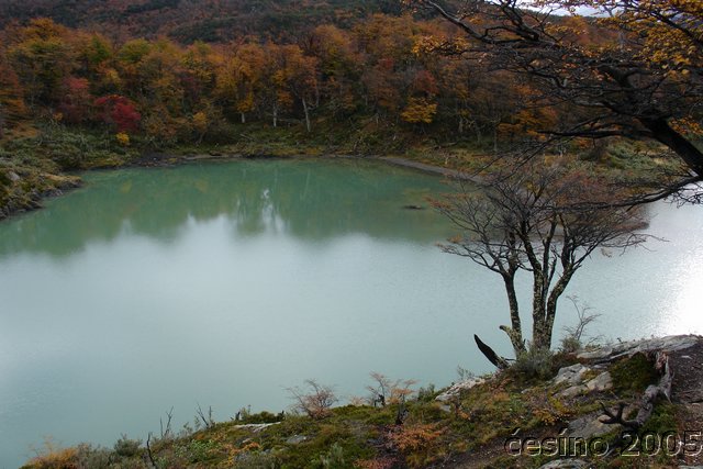 DSC03077.JPG