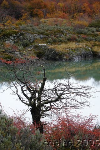 DSC03089.JPG