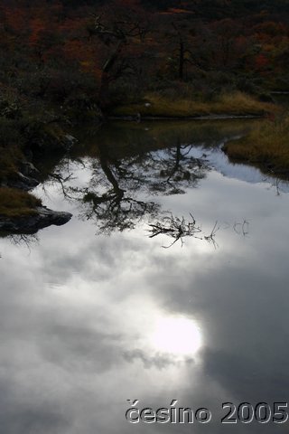 DSC03091.JPG