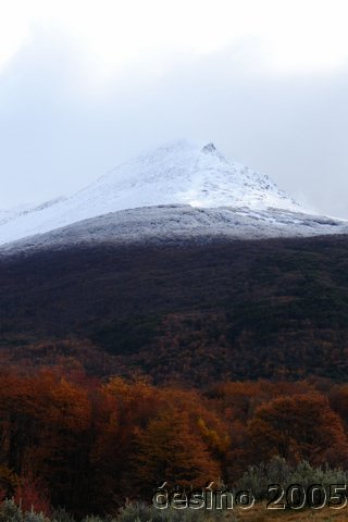 DSC03093.JPG