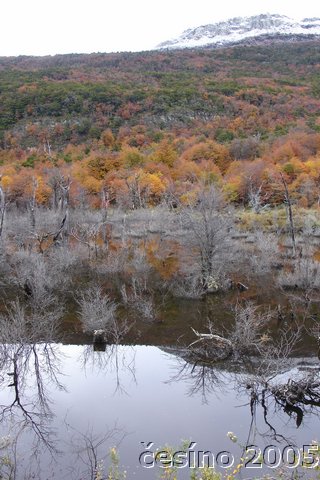 DSC03126.JPG