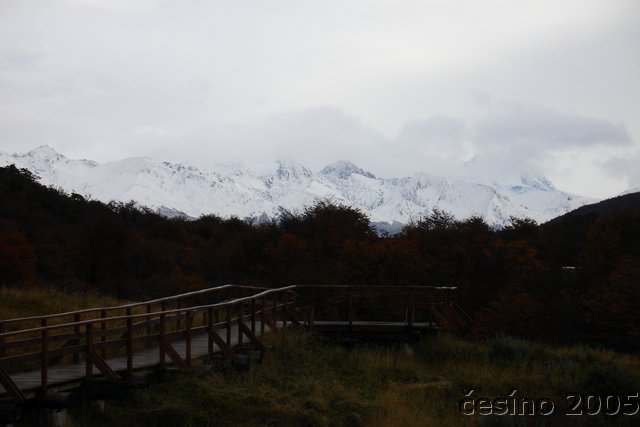 DSC03140.JPG