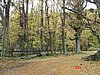 DSC02826.JPG