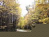 DSC02875.JPG