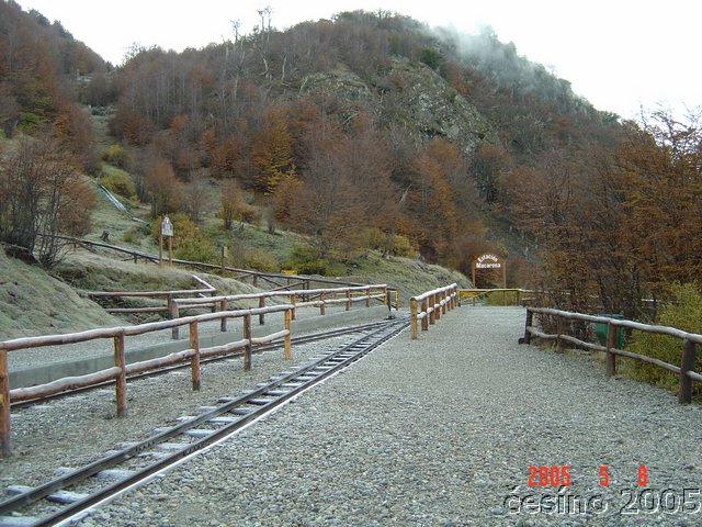 DSC02905.JPG