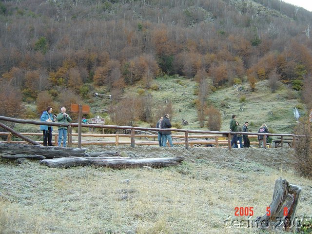 DSC02912.JPG